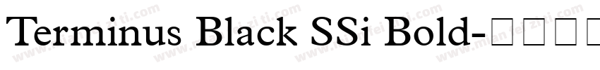 Terminus Black SSi Bold字体转换